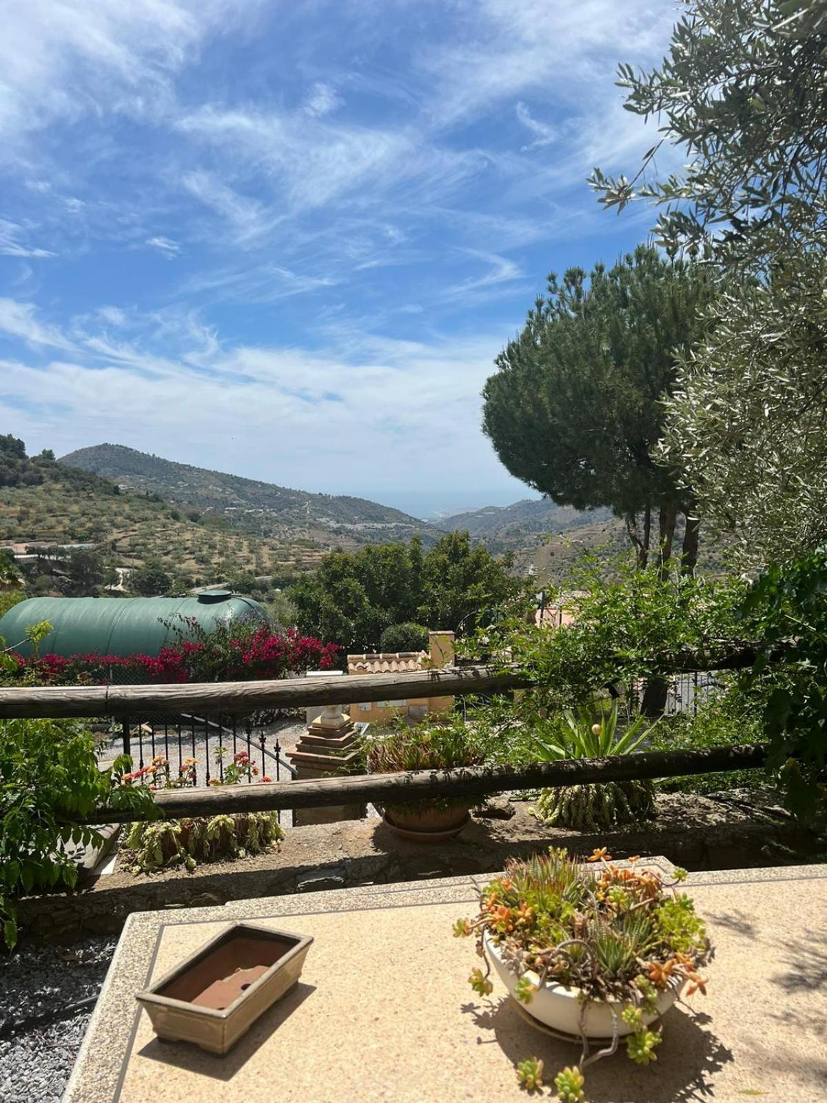 Los Olivos Malaga Luaran gambar