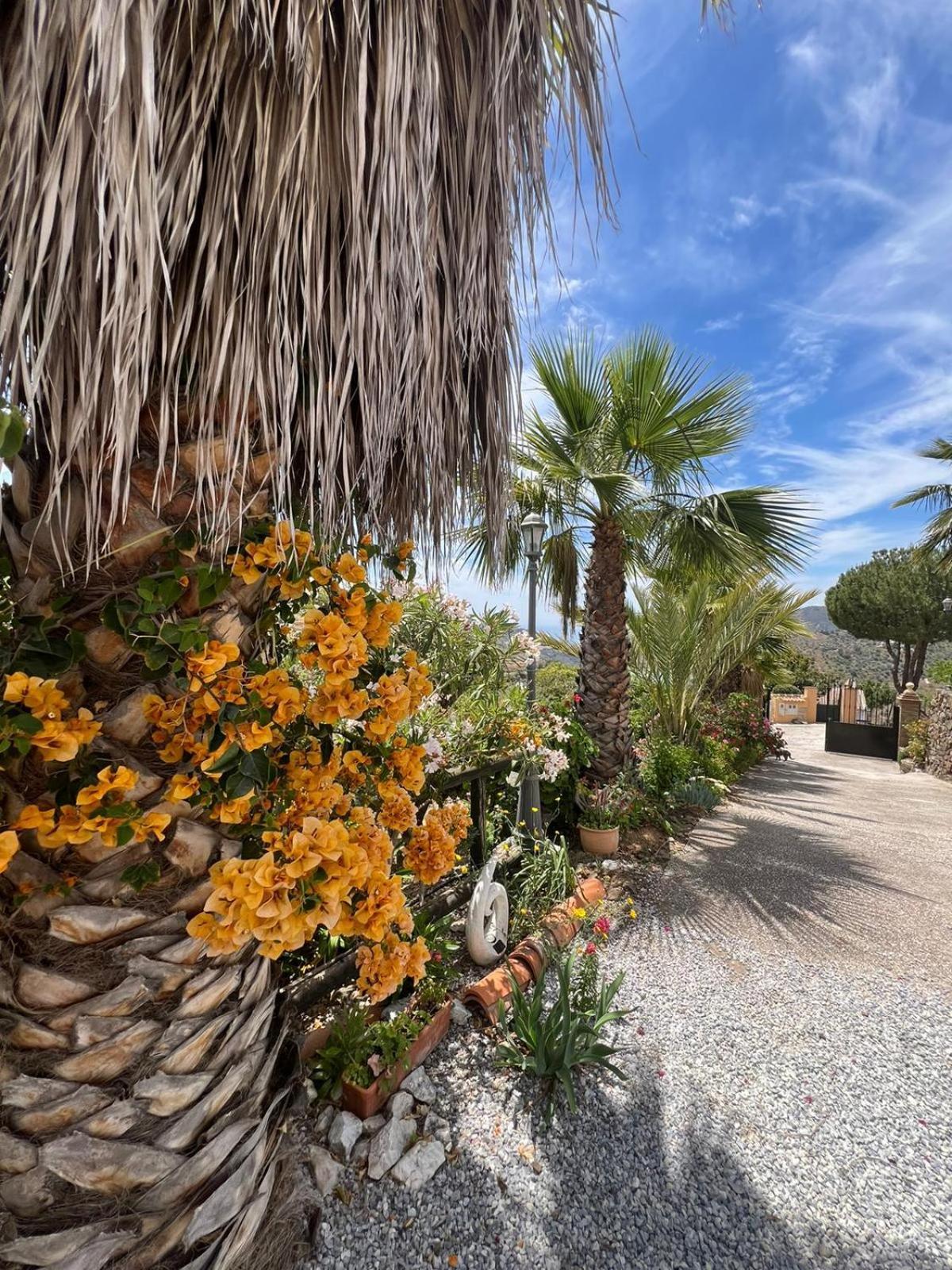 Los Olivos Malaga Luaran gambar